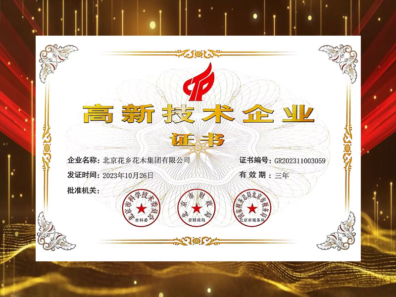 荣誉证书
