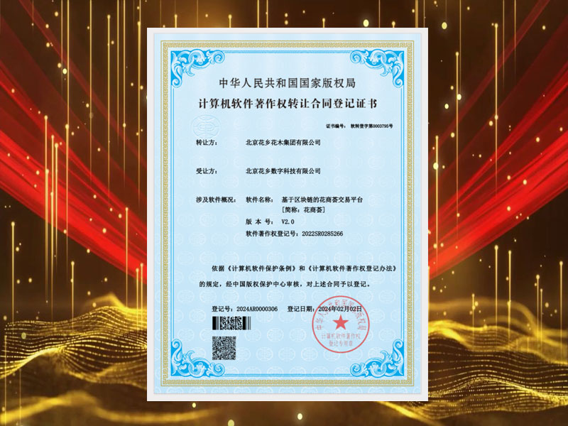 荣誉证书